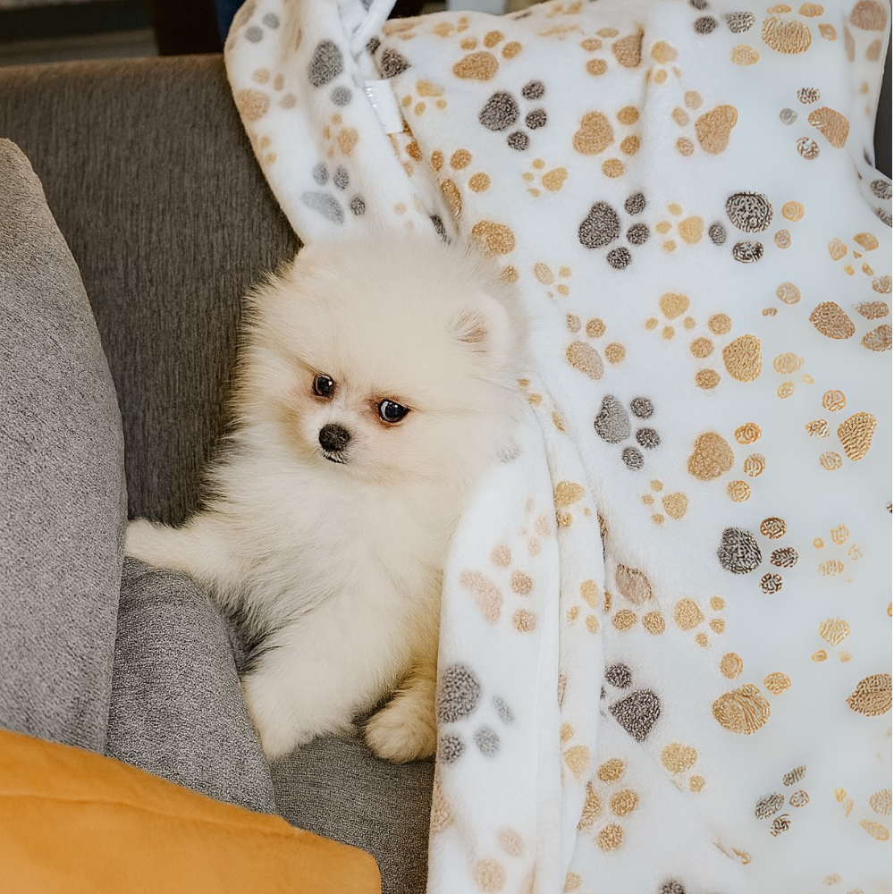 Puppy Comfort Mat